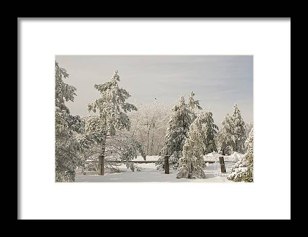 Winter Framed Print featuring the photograph Blue Knob Winter by Lois Bryan