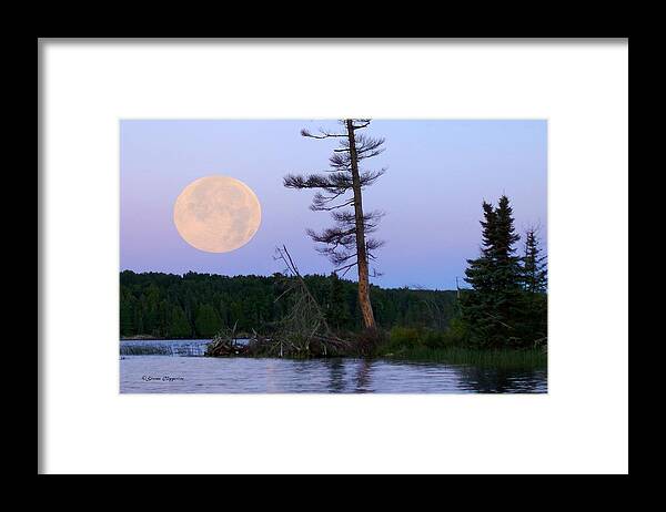 Moon Framed Print featuring the photograph Blue Moon at Sunrise by Steven Clipperton