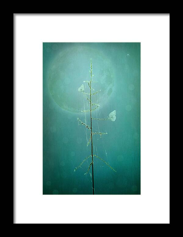 Photography Framed Print featuring the photograph Blue Moon by Marina Kojukhova
