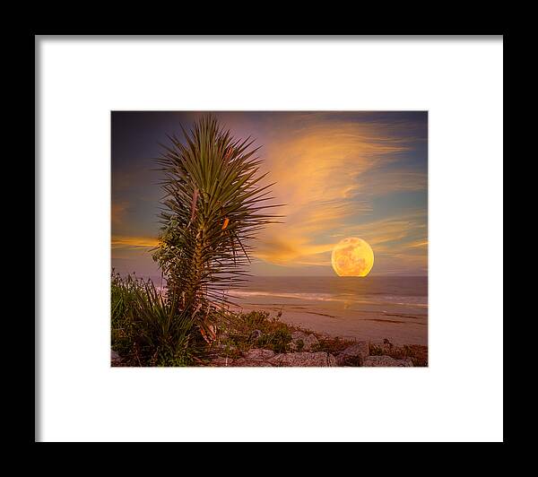 Landscape Framed Print featuring the photograph Blue Moon Rising on St. Simons by Chris Bordeleau