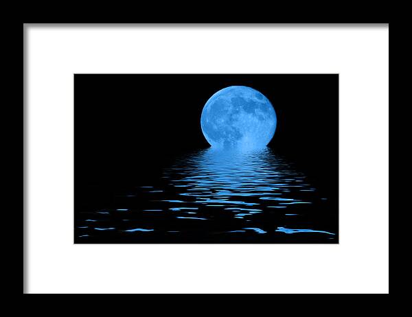 Blue Moon Framed Print featuring the photograph Blue Moon by Shane Bechler