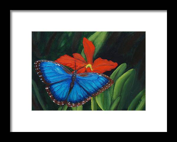 Butterfly Framed Print featuring the painting Blue Morph by Darlene Green