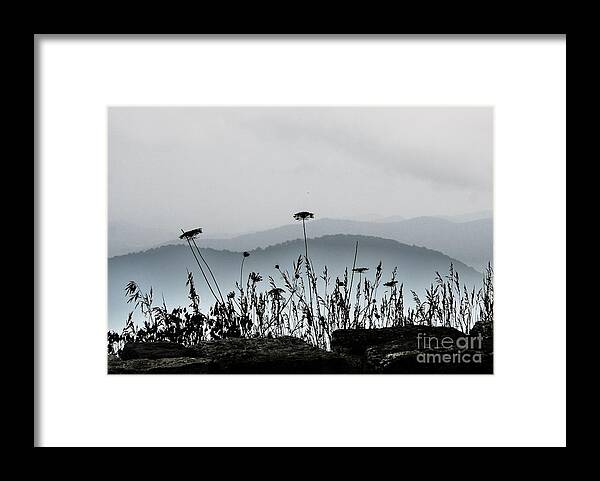 Mountains Framed Print featuring the photograph Blue on Blue 2 by Julie Lueders 
