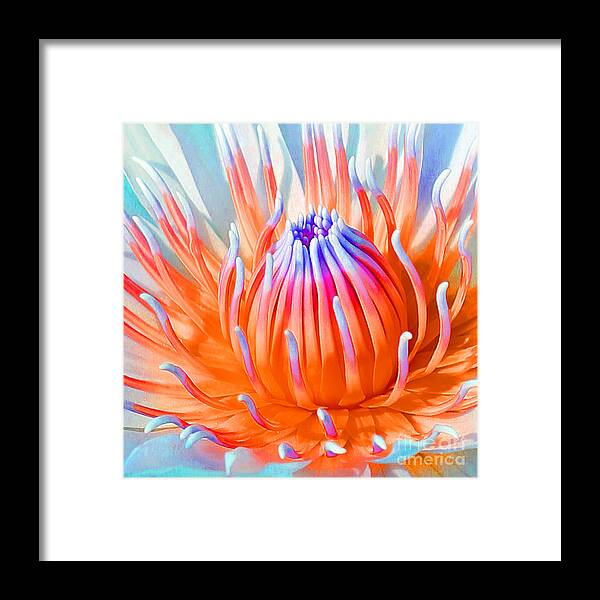 Blue Orange Lily Framed Print featuring the photograph Blue Orange Lily by Jennifer Robin