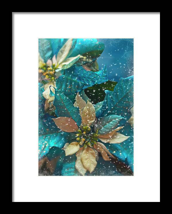 Winter Framed Print featuring the photograph Blue Poinsettia by Teresa Wilson