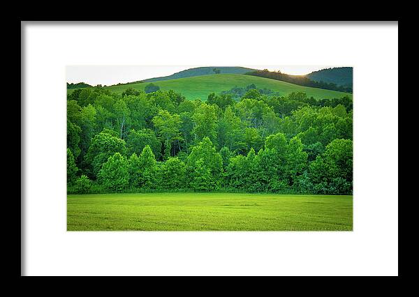 Trees Framed Print featuring the photograph Blue Ridge Mountains Virginia  by Henri Irizarri