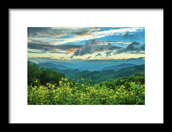Wildflowers Framed Print featuring the photograph Blue Ridge Parkway NC Wildflower Sunset by Robert Stephens