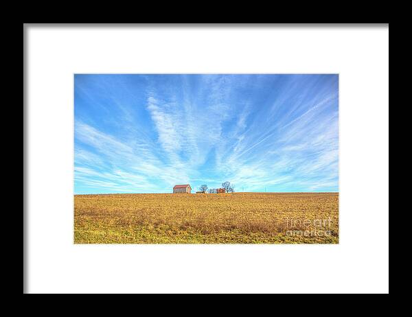 Blue Skys And Yellow Fields Framed Print featuring the photograph Blue Skys and Yellow Fields by Randy Steele