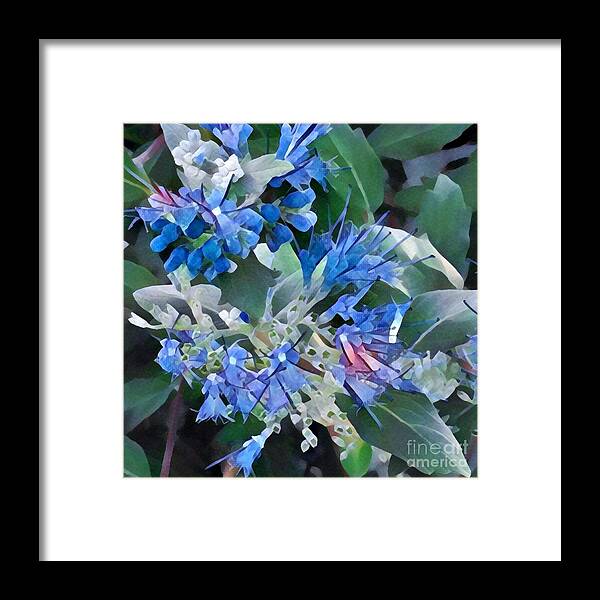 Blue Splash - Flowers Of Spring Framed Print featuring the photograph Blue Splash - Flowers of Spring by Miriam Danar