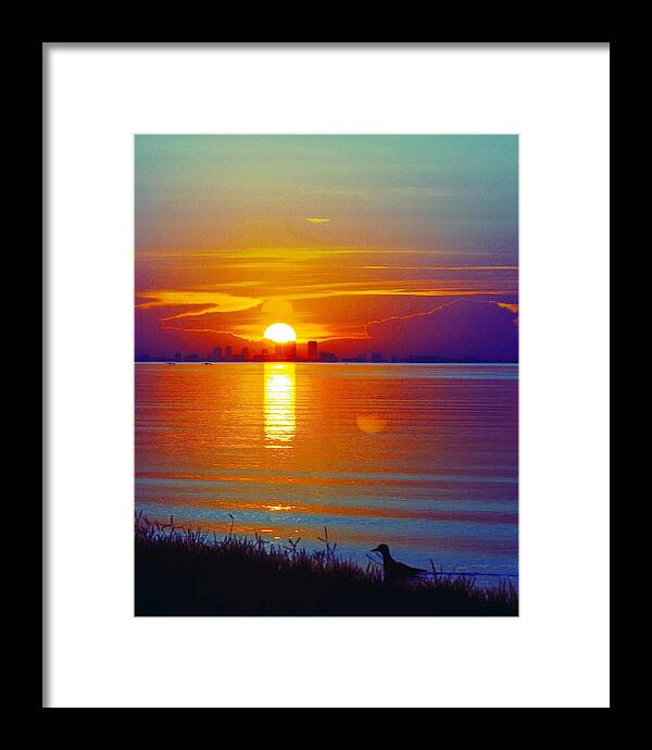 Bird Framed Print featuring the photograph Blue Sunrise by Stoney Lawrentz