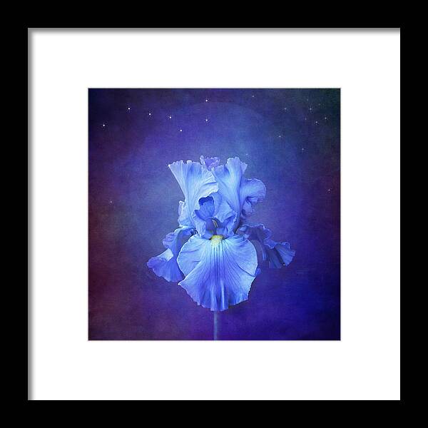 Blue Iris Flower Framed Print featuring the photograph Blue Symphony by Marina Kojukhova