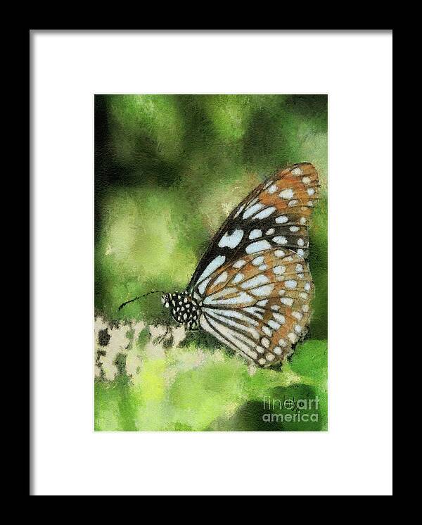 Butterfly Framed Print featuring the photograph Blue Tiger by Lois Bryan