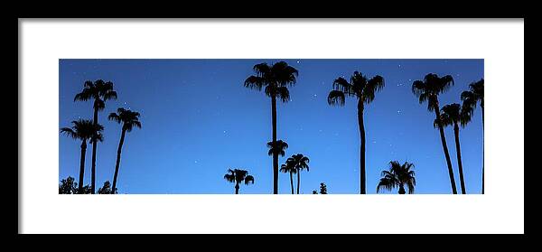 Night Framed Print featuring the photograph Blue Tropical Night Panorama by James BO Insogna