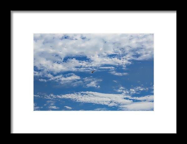 Blue Framed Print featuring the photograph Blue White by Leif Sohlman