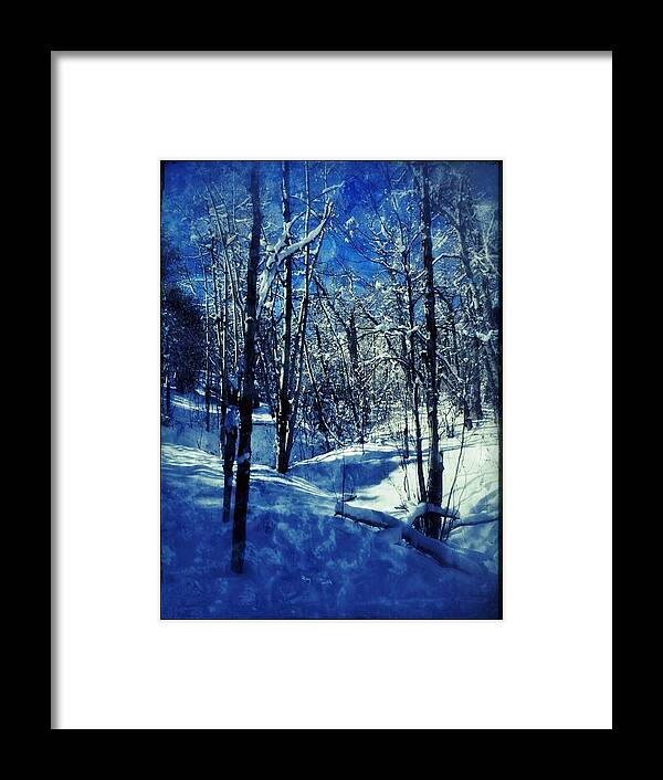 Blue Framed Print featuring the digital art Blue Winter II by Dan Miller
