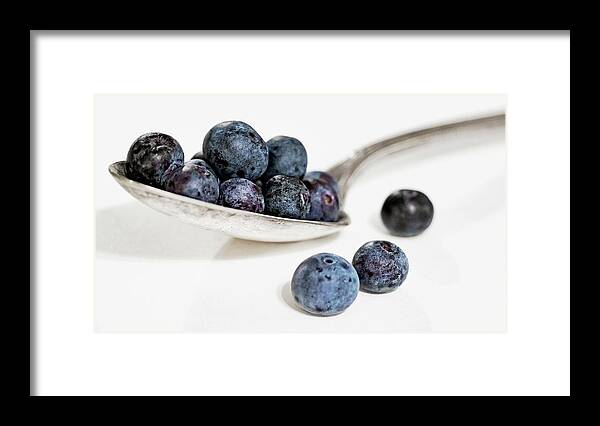 Blueberries Framed Print featuring the photograph Blueberries for... by Holly Ross