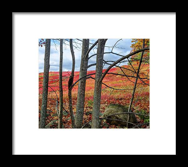Blueberry Field Framed Print featuring the photograph Blueberry Field Through the Wall - cropped by John Meader