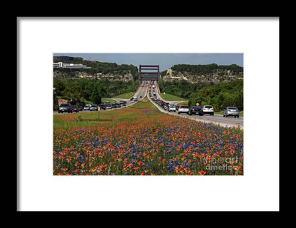 Bluebonnets Framed Print featuring the photograph Bluebonnets and Indian Paintbrush wildflowers bloom along the 36 by Dan Herron