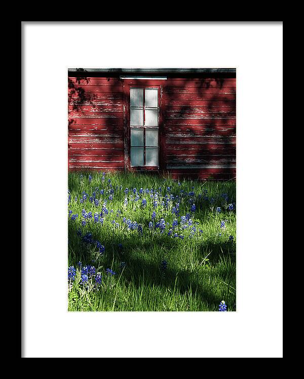 Architecture Framed Print featuring the photograph Bluebonnets in the Shade by David and Carol Kelly