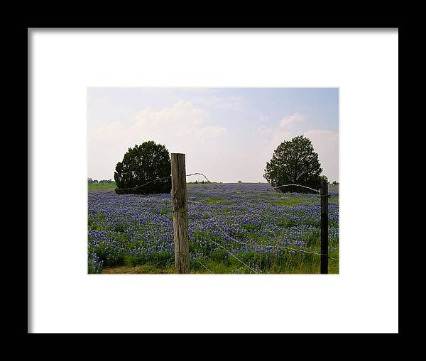 Landscape Framed Print featuring the photograph Bluebonnets by Jerry Connally