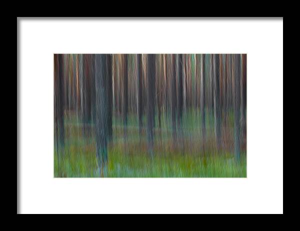 Abstract Framed Print featuring the photograph Blurred pine forest with green grasses by Ulrich Kunst And Bettina Scheidulin