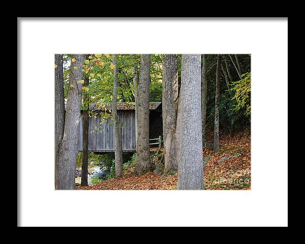 Bridge Framed Print featuring the photograph Bob White by Eric Liller