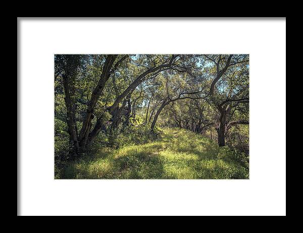 Boden Canyon Framed Print featuring the photograph Boden Canyon - Green Canopy by Alexander Kunz