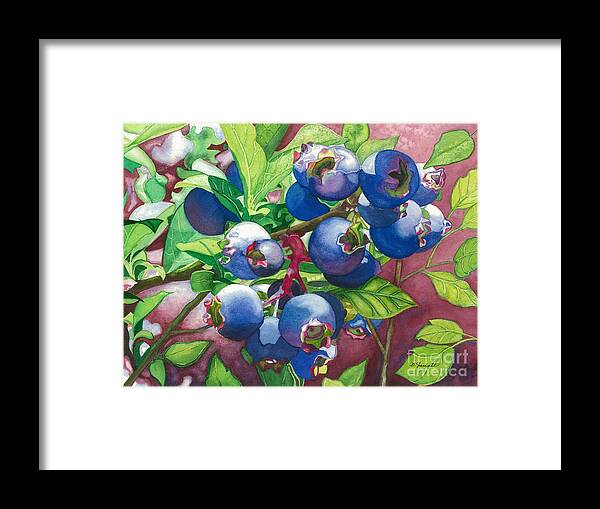 Blueberries Framed Print featuring the painting Bold and Blue by Barbara Jewell