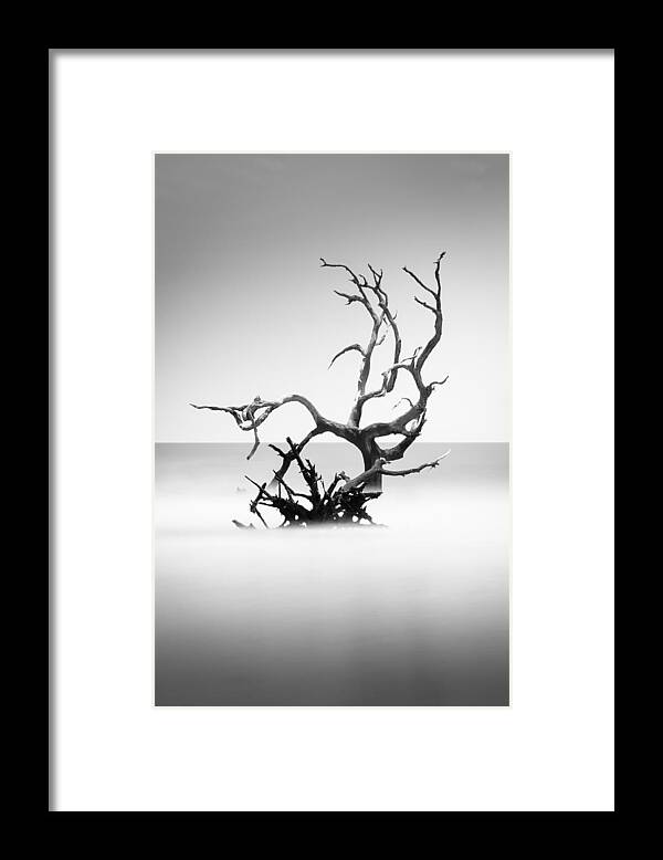 Bulls Island Framed Print featuring the photograph Boneyard Beach X by Ivo Kerssemakers