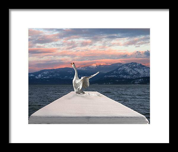  Framed Print featuring the photograph Bonjour by Melvin Kearney