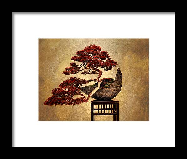 Asian Framed Print featuring the photograph Bonsai by Jessica Jenney