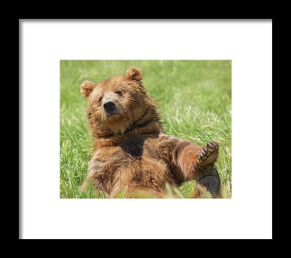 Boo Boo Bear Framed Print featuring the photograph Boo Boo Bear by Wes and Dotty Weber