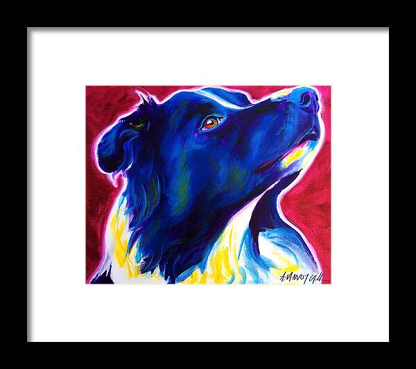 Border Collie Framed Print featuring the painting Border Collie - Bright Future by Dawg Painter
