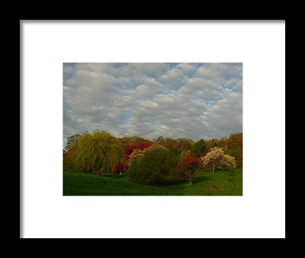 Spring Framed Print featuring the photograph Boston Arnold Arboretum by Juergen Roth