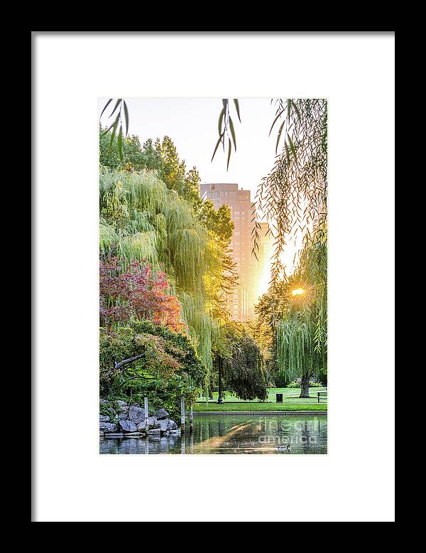 Public Framed Print featuring the photograph Boston Public Garden Sunrise by Mike Ste Marie