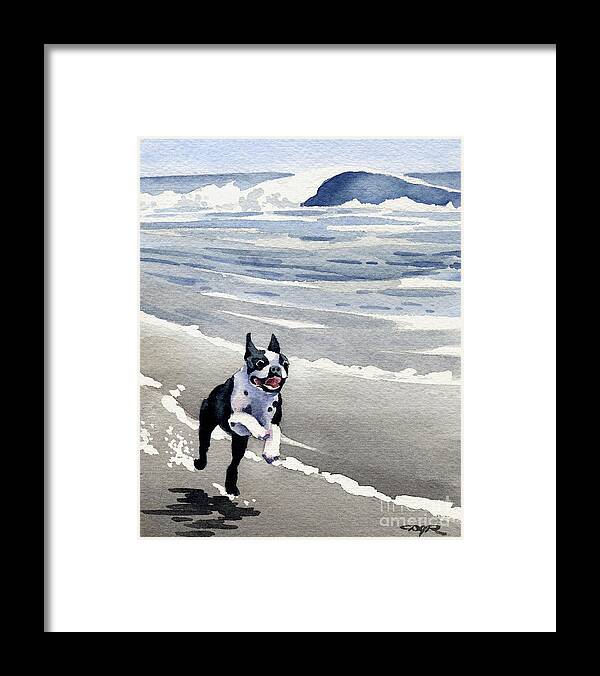 Boston Terrier Framed Print featuring the painting Boston Terrier At The Beach by David Rogers