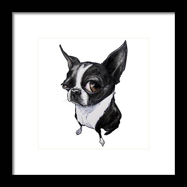 Boston Terrier Framed Print featuring the drawing Boston Terrier by John LaFree