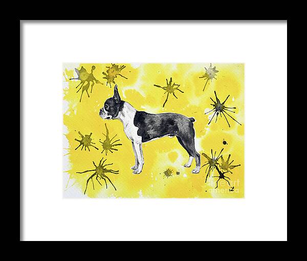 Boston Terrier Framed Print featuring the painting Boston Terrier on Yellow by Zaira Dzhaubaeva