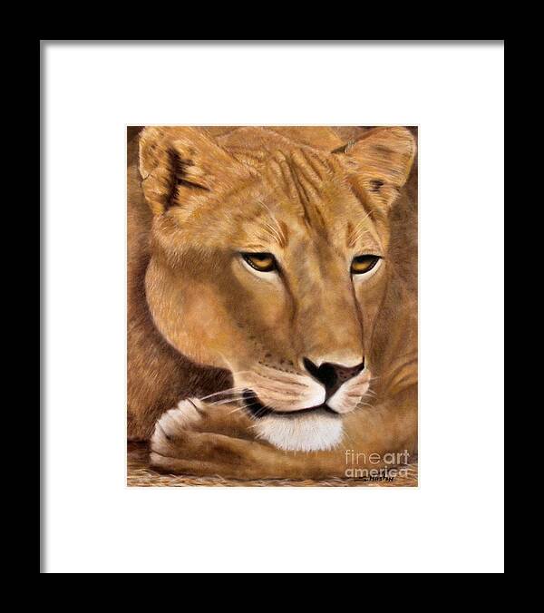 Lioness Framed Print featuring the painting Botswana by Sandra Huston