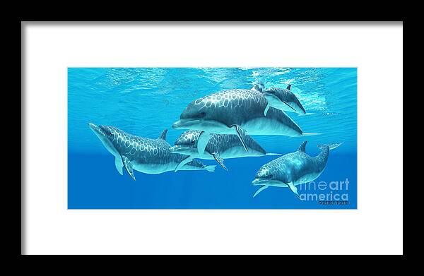 Dolphin Framed Print featuring the painting Bottlenose Dolphin by Corey Ford