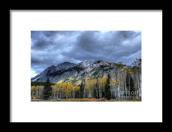 Animals Framed Print featuring the photograph Bow Valley Parkway Banff National Park Alberta Canada IV by Wayne Moran