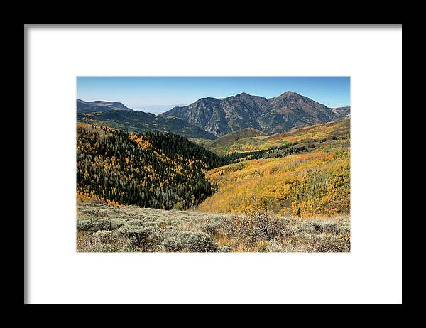 Mountains Framed Print featuring the photograph Box Elder Peak with Yellow Aspens by Brett Pelletier
