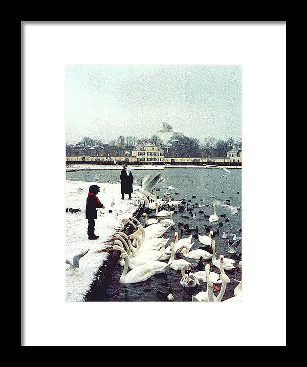 Swans Framed Print featuring the photograph Boy Feeding Swans- Germany by Nancy Mueller