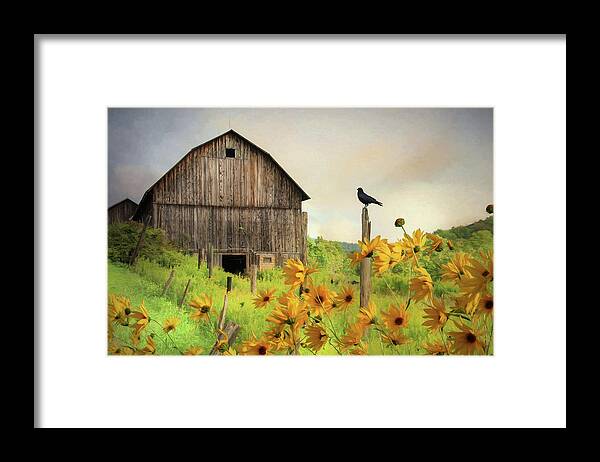 Barn Framed Print featuring the photograph Bradford County Wildflowers by Lori Deiter