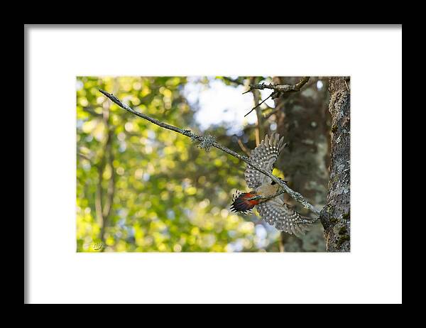 Breaking Framed Print featuring the photograph Braking by Torbjorn Swenelius
