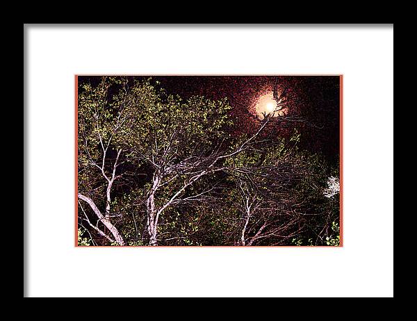 Moon Framed Print featuring the photograph Branches in Articulating Moonlight by Feather Redfox