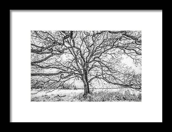 Alone Framed Print featuring the painting Branches of Life by David Letts