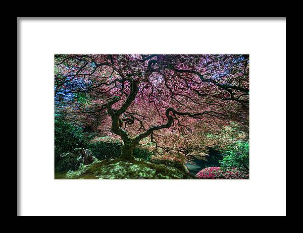 Portland Japanese Garden Framed Print featuring the photograph Branches of Love by Chuck Jason