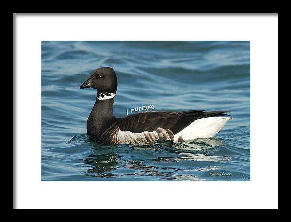  Framed Print featuring the photograph Brant says I Nuture by Sherry Clark
