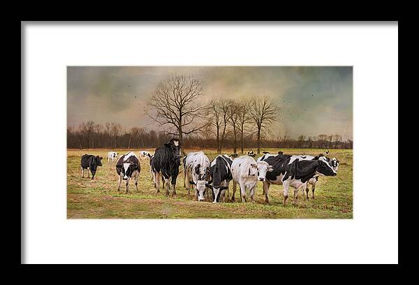 Cows Framed Print featuring the photograph Braveheart by Robin-Lee Vieira